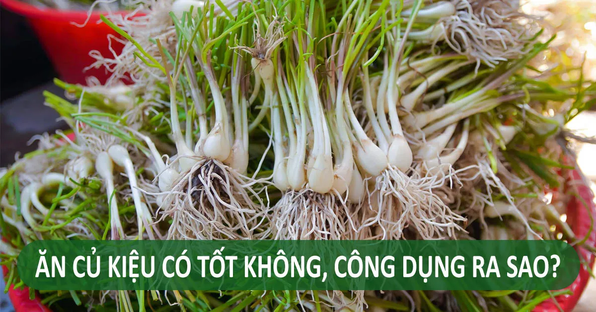 7 tác dụng của củ kiệu và những lưu ý khi sử dụng