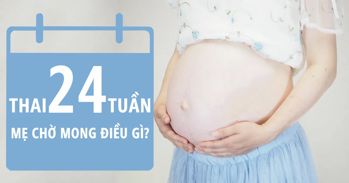 Thai nhi 24 tuần tuổi: Cùng soi sự phát triển của mẹ và bé trong tuần này