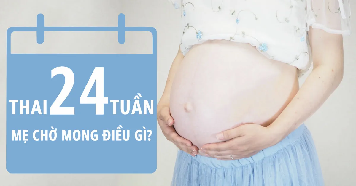 Thai nhi 24 tuần tuổi: Cùng &#039;soi&#039; sự phát triển của mẹ và bé trong tuần này