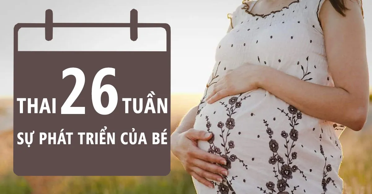 Thai nhi 26 tuần tuổi: Tìm hiểu sự phát triển của bé và những thay đổi ở mẹ