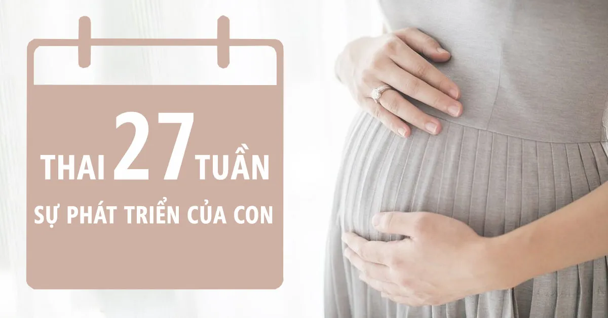 Thai nhi 27 tuần tuổi: Một phiên bản thu nhỏ của chính mình khi chào đời