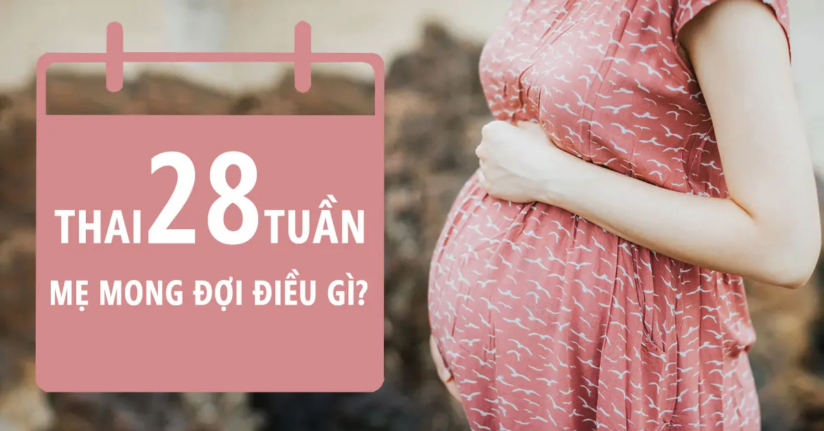 Thai nhi 28 tuần: Một giai đoạn phát triển não bộ vượt bậc của bé