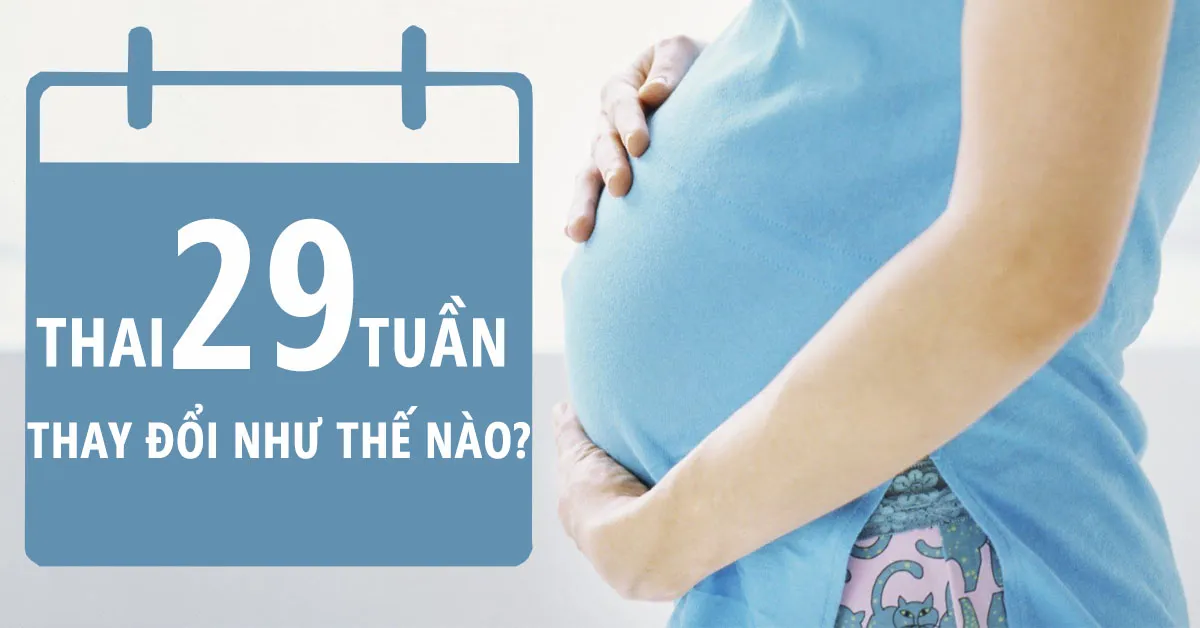 Thai nhi 29 tuần tuổi: Những điều mẹ cần biết và lời khuyên về dinh dưỡng