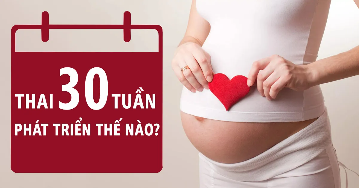 Thai nhi 30 tuần tuổi: Sự phát triển của bé, những thay đổi ở cơ thể mẹ