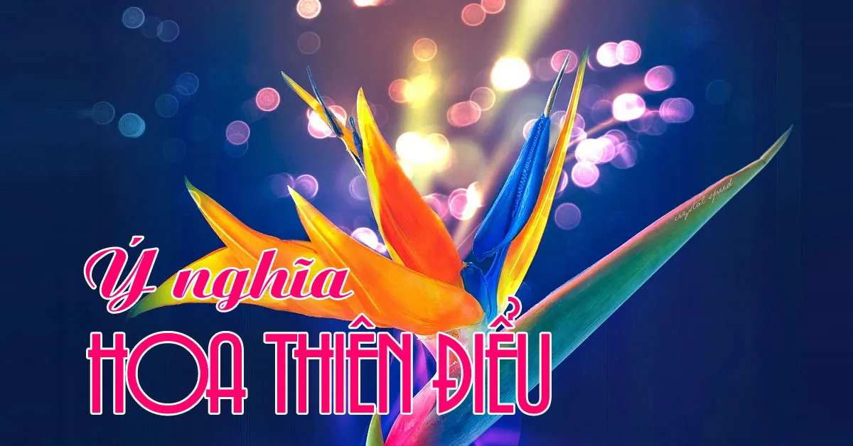 Hoa thiên điểu loài hoa độc đáo giống chim thiên đường