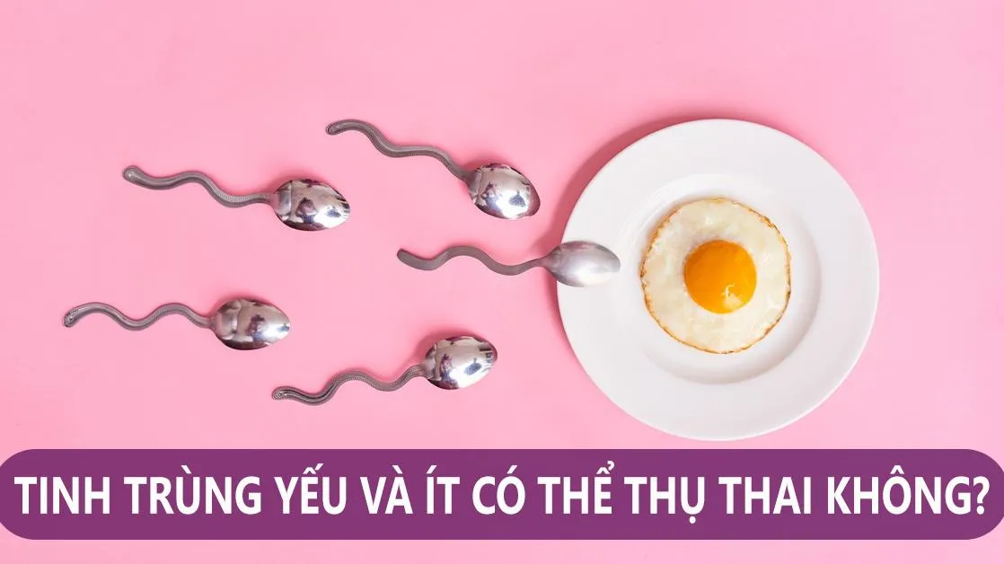 Tinh trùng yếu và ít: Dấu hiệu, nguyên nhân và phòng ngừa