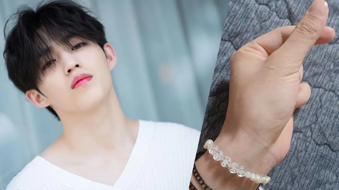 5 lần S.Coups (Seventeen) khiến trái tim Carats ‘tan chảy’ khi công khai thể hiện tình cảm với fan