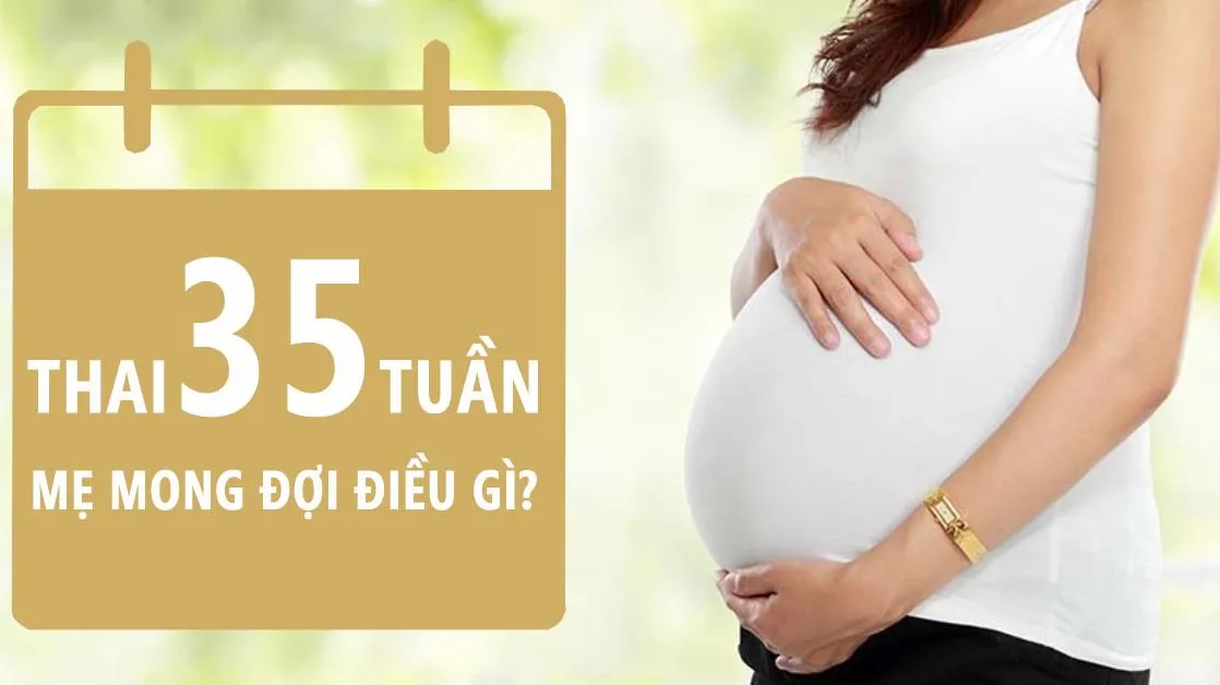 Thai nhi 35 tuần tuổi: Cử động thai ít dần, bé duy chuyển dần xuống khung chậu