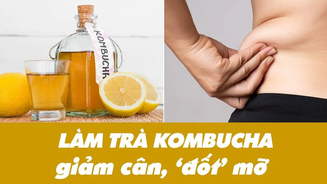 Cách làm trà Kombucha giảm cân, ‘đốt mỡ’ tại nhà