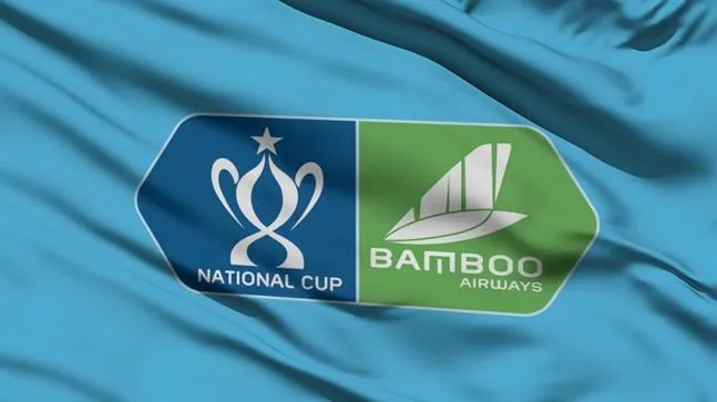 Giải V-League bị hoãn, cúp Quốc gia 2020 về đích sớm