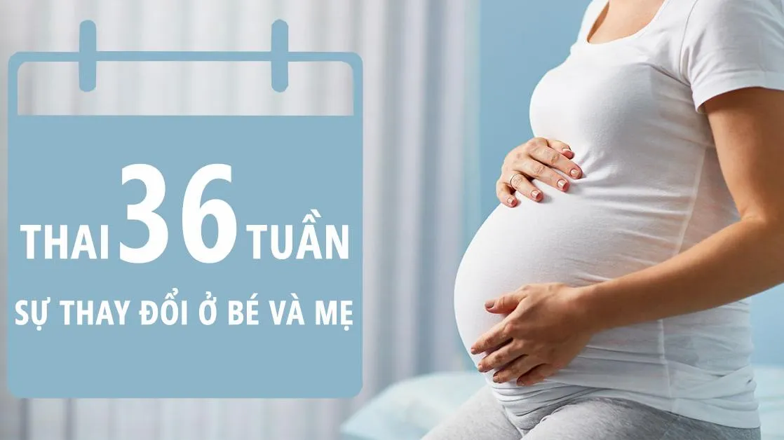 Thai nhi 36 tuần tuổi: Những điều mẹ cần biết về sự phát triển của thai nhi