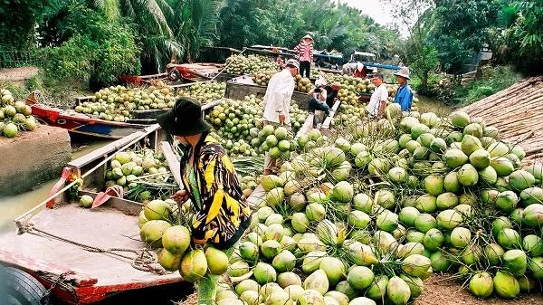 Xây dựng Bến Tre trở thành trung tâm trái cây đặc sản vùng ĐBSCL