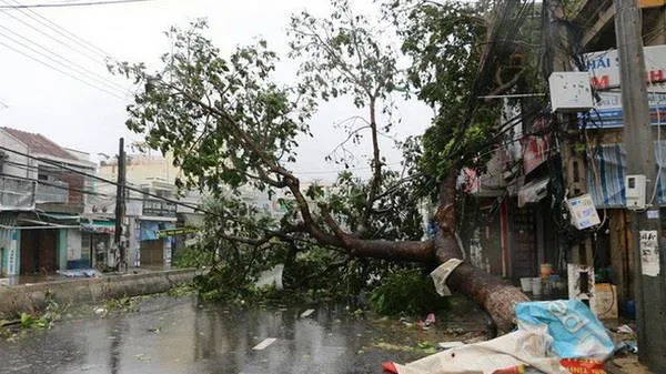 Hoàn lưu bão số 2 gây mưa to làm 1 người chết và thiệt hại hơn 2000 ha hoa màu 
