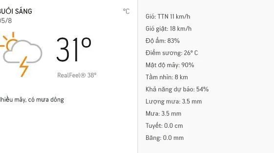 Dự báo thời tiết TPHCM hôm nay 5/8: Mưa dông vào chiều và tối