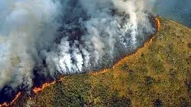 Rừng Amazon lại đang cháy, Tổng thống Brazil cho là &#039;bịa đặt&#039;