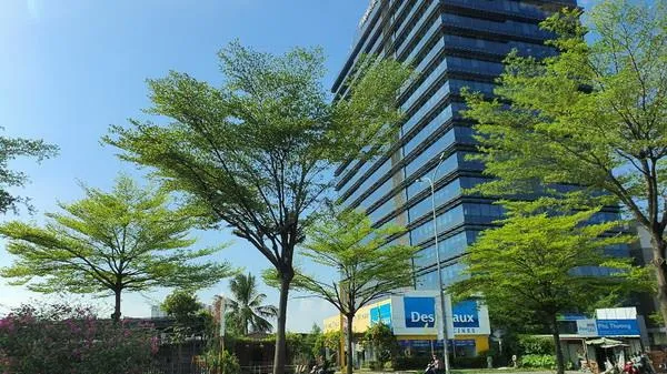 Dự báo thời tiết ngày mai 13/08: Nắng nóng kết thúc dần ở Trung bộ