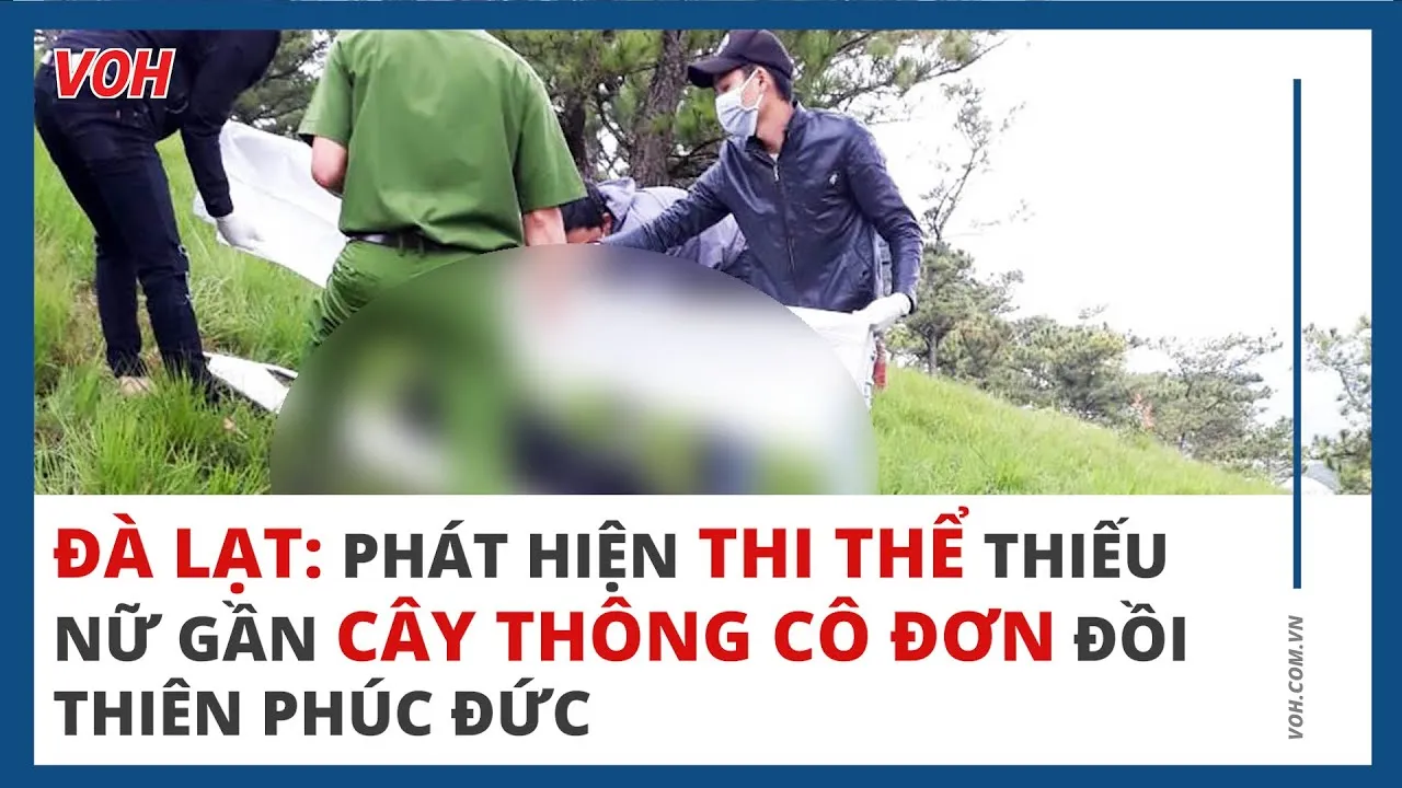 Đà Lạt: Phát hiện thi thể thiếu nữ gần cây thông cô đơn đồi Thiên Phúc Đức