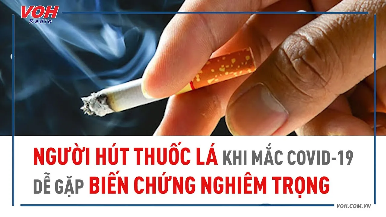 Người hút thuốc lá khi mắc COVID-19 dễ gặp biến chứng nghiêm trọng