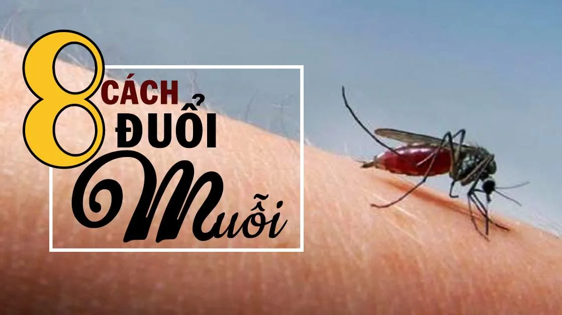 8 cách đuổi muỗi bằng nguyên liệu thiên nhiên giúp căn nhà thơm mát