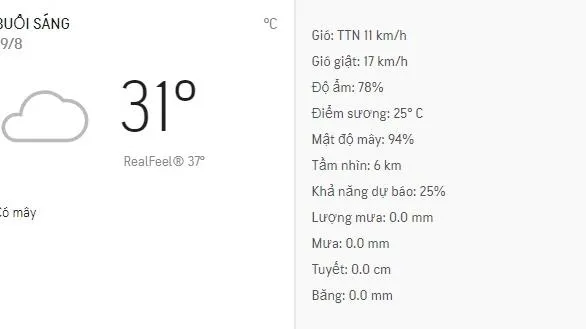 Dự báo thời tiết TPHCM hôm nay 19/8: Sáng nhiều mây, chiều tối có mưa dông