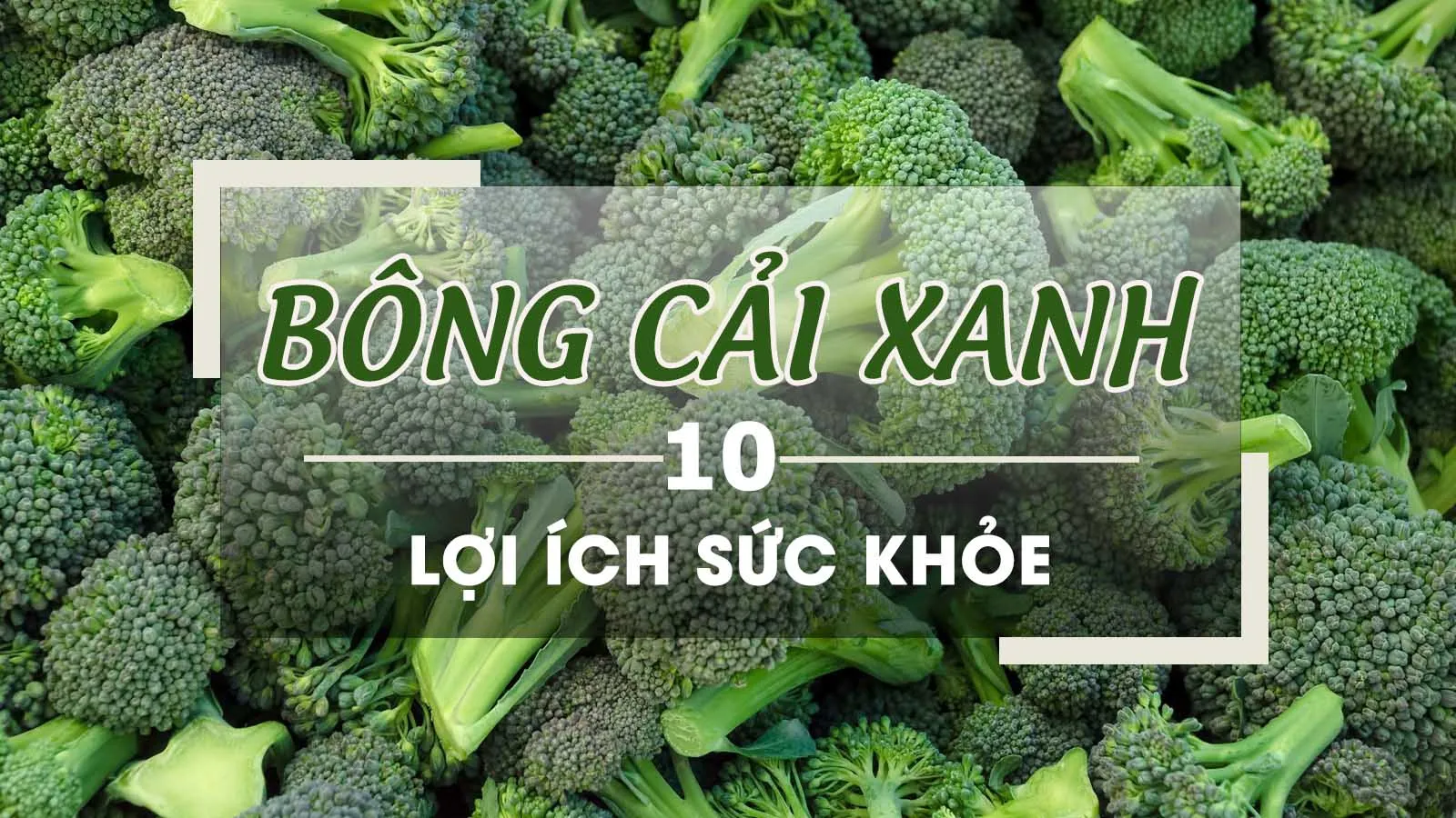 10 tác dụng của bông cải xanh khiến bạn phải bất ngờ