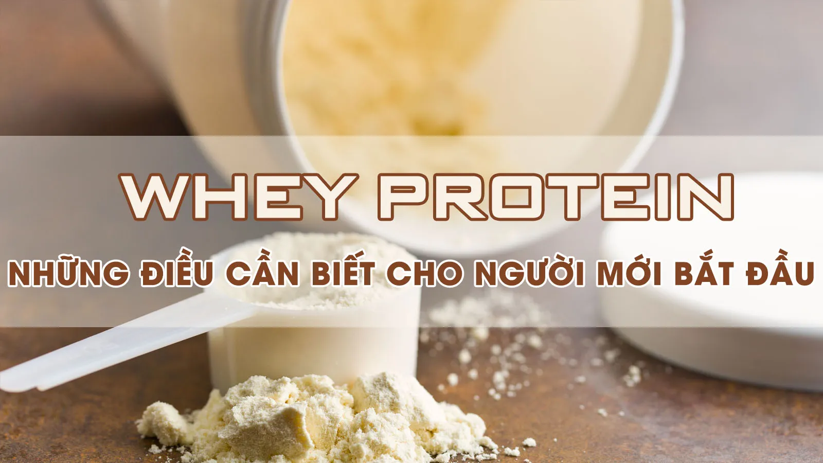 Whey Protein là gì? Những điều cần biết cho người mới bắt đầu