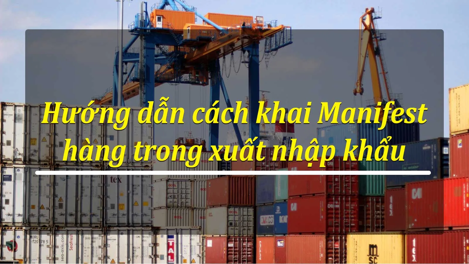 Hướng dẫn cách khai Manifest hàng xuất nhập khẩu