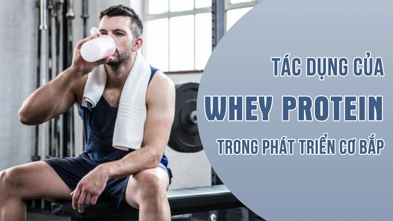 Tác dụng của whey trong phát triển cơ bắp