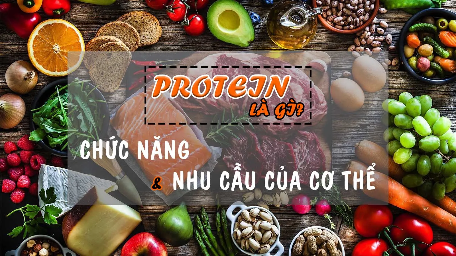 9 chức năng của protein và nhu cầu protein của cơ thể