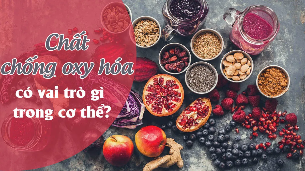 Chất chống oxy hóa: Vai trò và cách bổ sung vào chế độ ăn