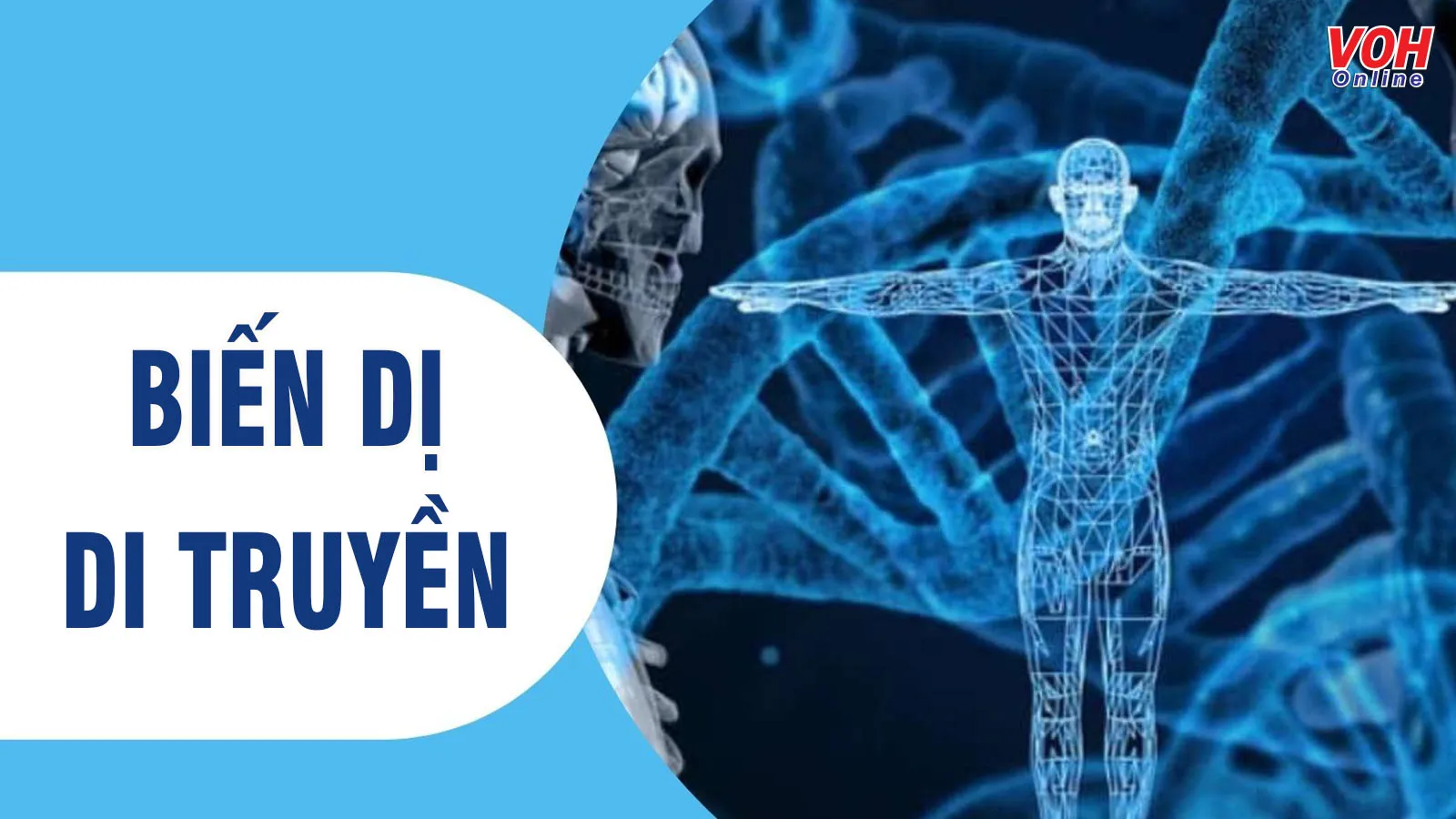 Tổng quan về đột biến gen và đột biến cấu trúc nhiễm sắc thể (NST)