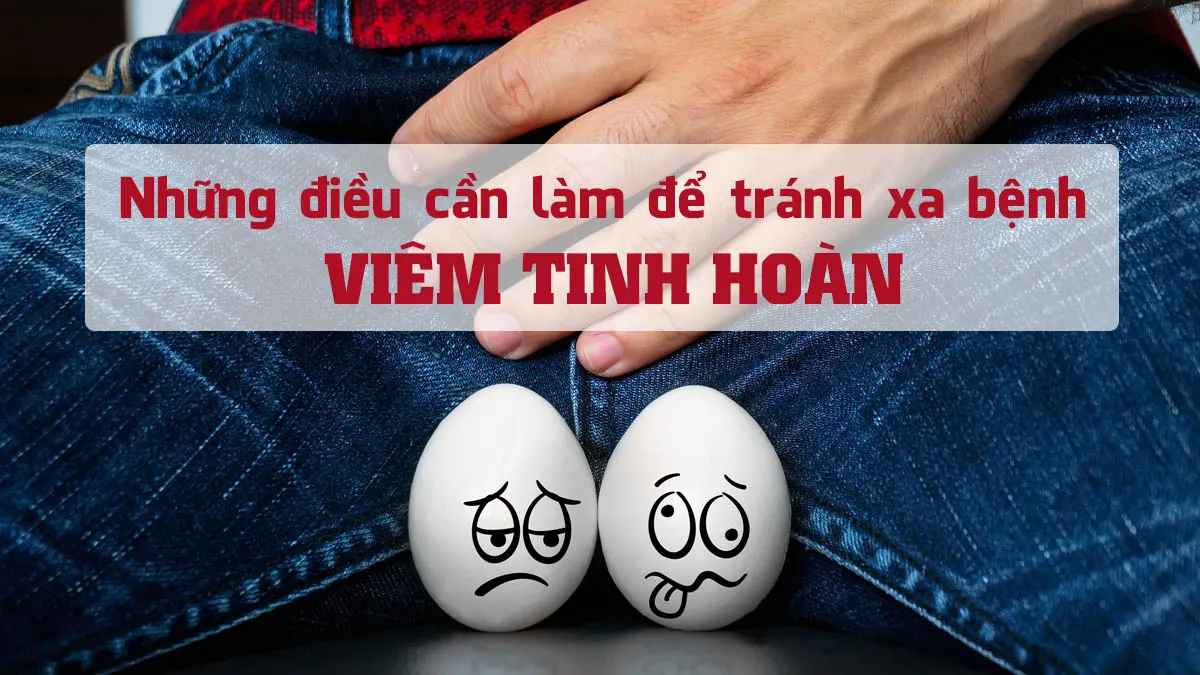 Viêm tinh hoàn: Triệu chứng, cách điều trị và các biến chứng