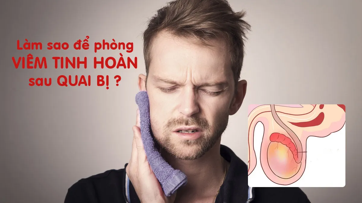 Viêm tinh hoàn quai bị - Biến chứng nguy hiểm cần phòng tránh