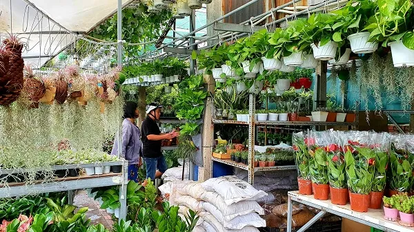 TPHCM tiếp tục nâng chất các tiêu chí Nông thôn mới 