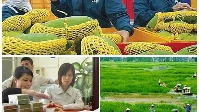 Chính phủ yêu cầu thực hiện quyết liệt, hiệu quả, đồng bộ các nhiệm vụ, giải pháp đã đề ra