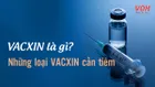 Vacxin là gì? Các loại vacxin cần tiêm theo từng độ tuổi