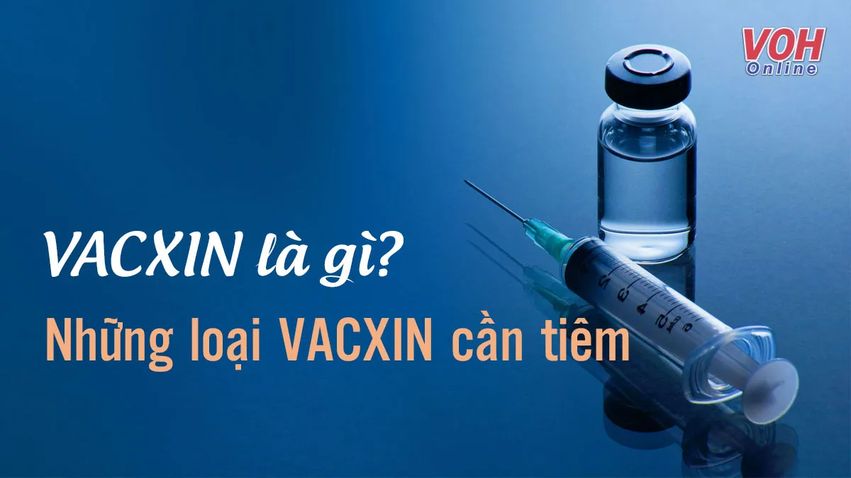 Vacxin là gì? Các loại vacxin cần tiêm theo từng độ tuổi