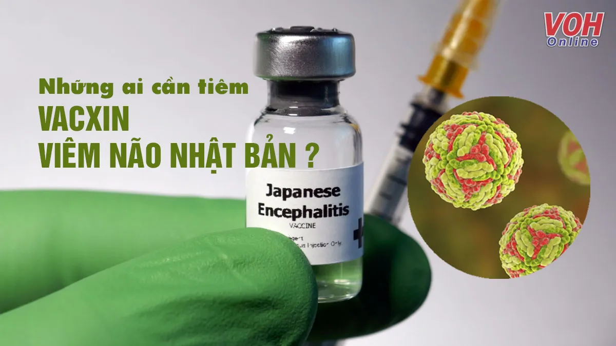 Vacxin viêm não Nhật Bản và tất cả những điều cần biết