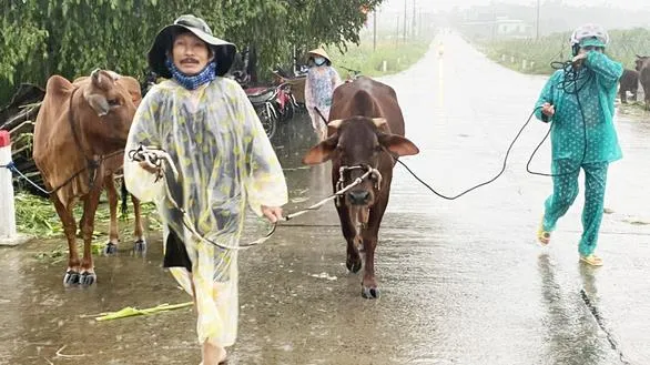 Dự báo thời tiết hôm nay 21/10: Các tỉnh từ Quảng Trị đến Quảng Ngãi có nơi lượng mưa trên 100mm