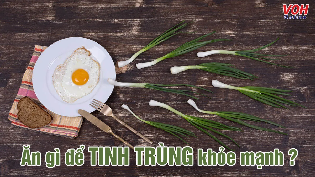 20 thực phẩm tốt cho tinh trùng nam giới nhất định phải biết