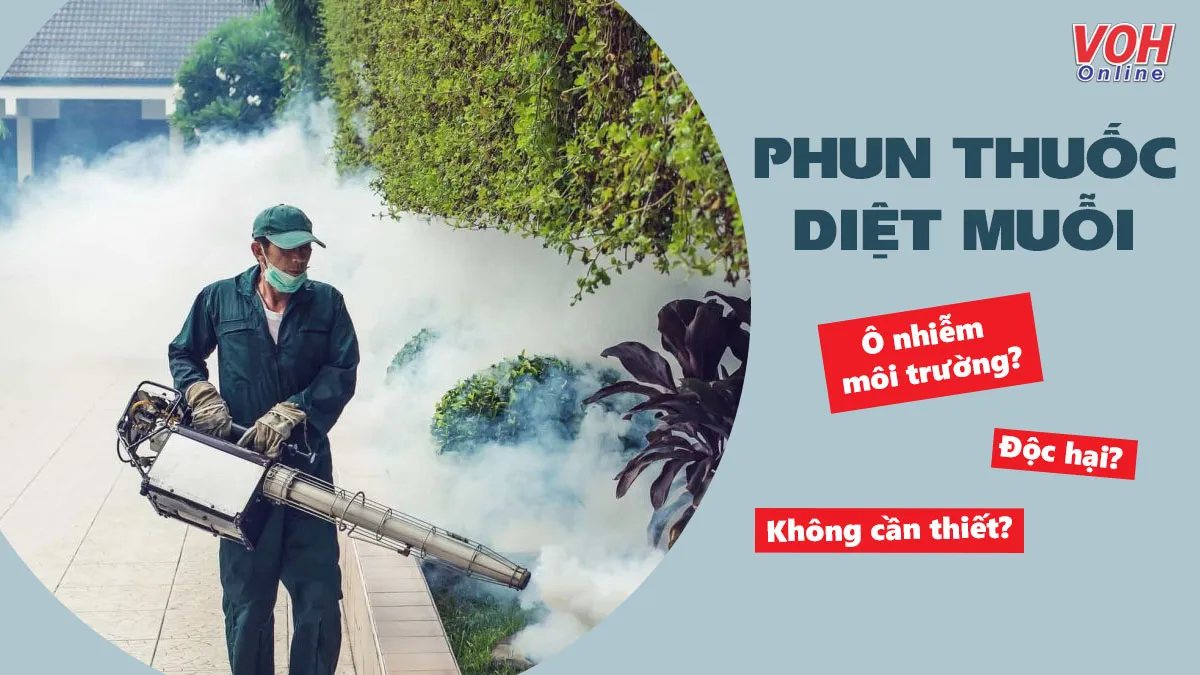 Phun thuốc diệt muỗi liệu có cần thiết và an toàn cho sức khỏe?