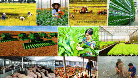 Tổ chức Diễn đàn kinh tế tập thể, hợp tác xã