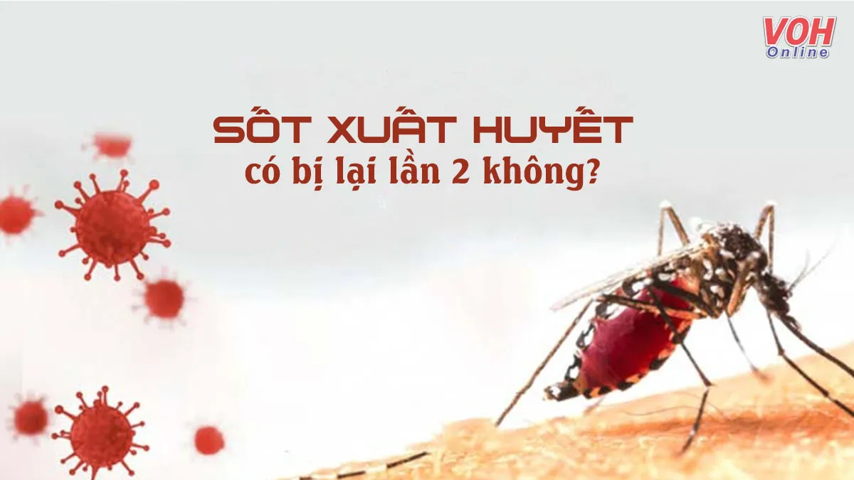 Liệu sốt xuất huyết có bị lại không nếu đã từng mắc?