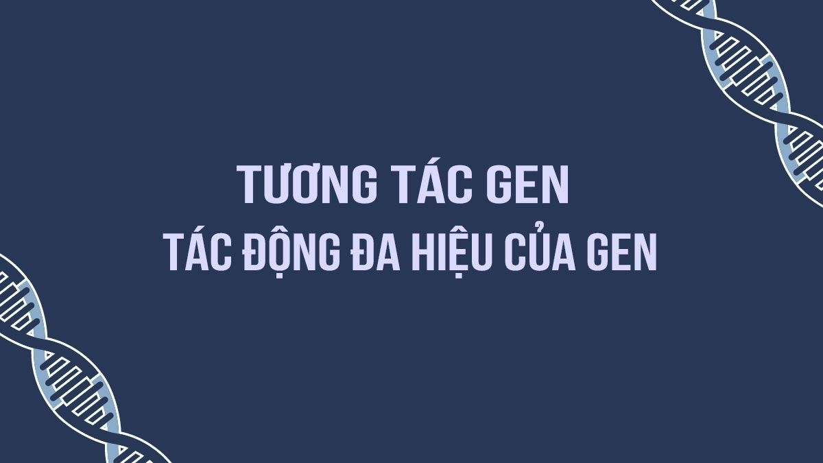 Tương tác gen và tác động đa hiệu của gen