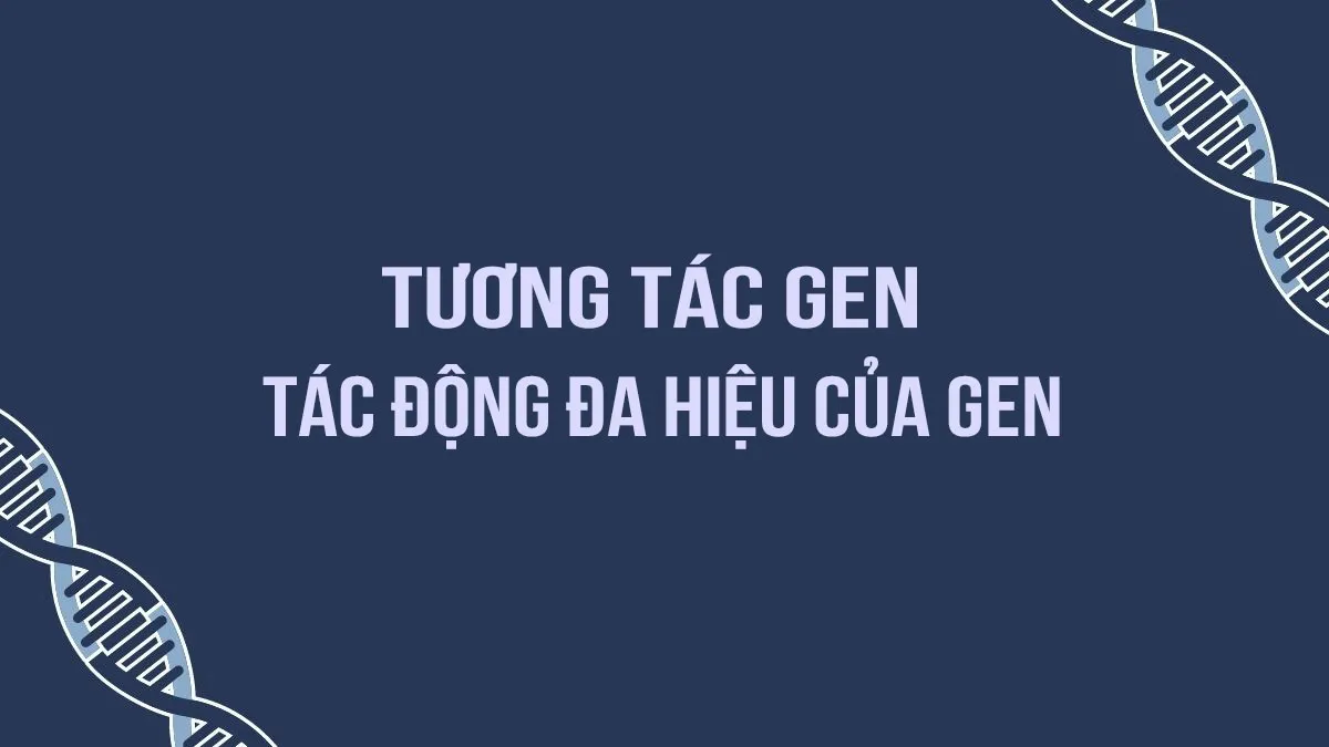 Tương tác gen và tác động đa hiệu của gen