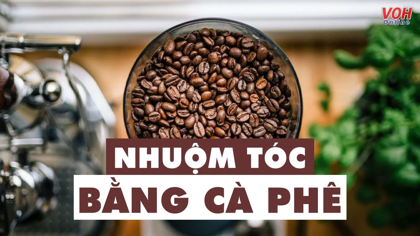 Hướng dẫn cách nhuộm tóc bằng cà phê vừa rẻ vừa lành tính tại nhà