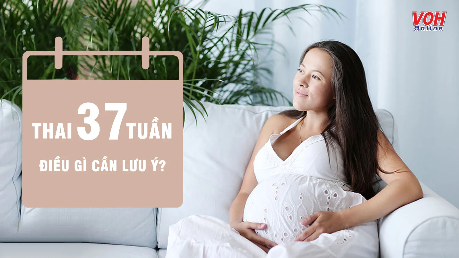 Thai nhi 37 tuần tuổi và những báo hiệu đầu tiên cho kỳ sinh nở