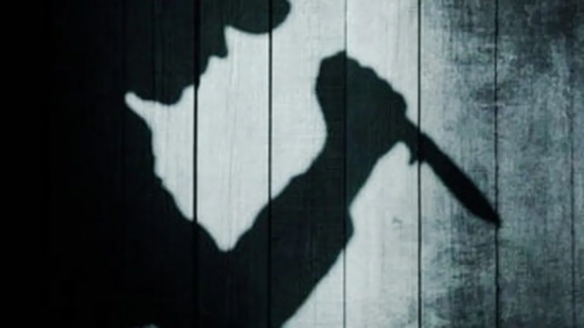 Tin tức pháp luật hôm nay 11/11/2020: Khởi tố em trai sát hại chị ruột ở huyện Nhà Bè