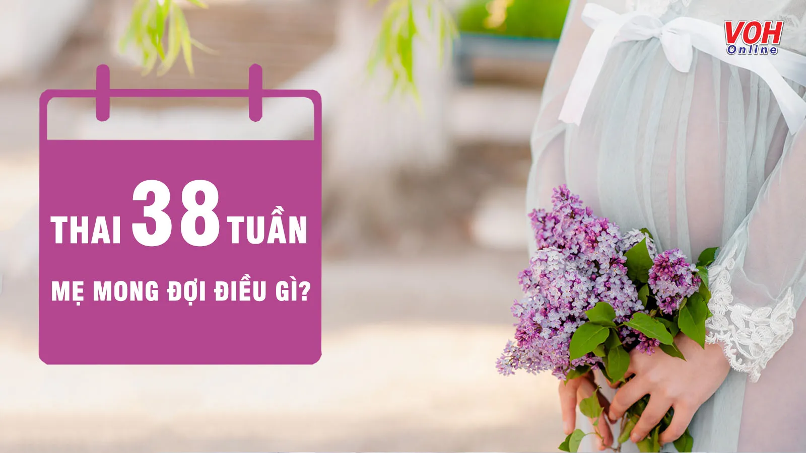 Thai nhi 38 tuần phát triển thế nào? Những điều mẹ cần lưu ý