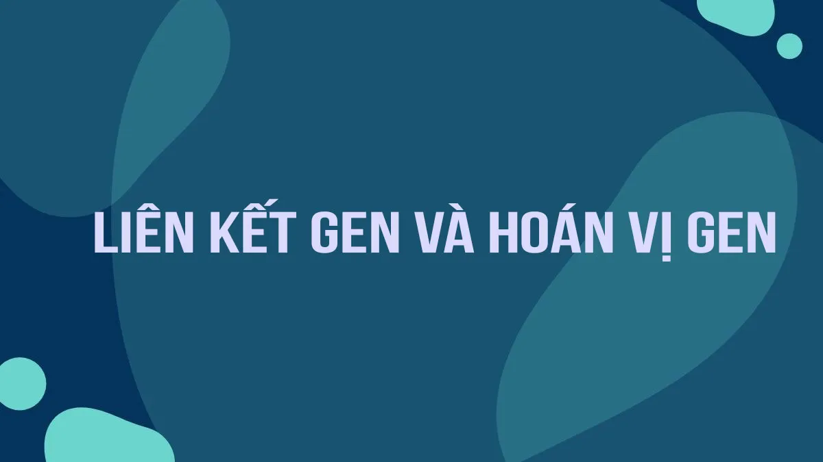 Quy luật liên kết gen và hoán vị gen - kiến thức đầy đủ và bài tập